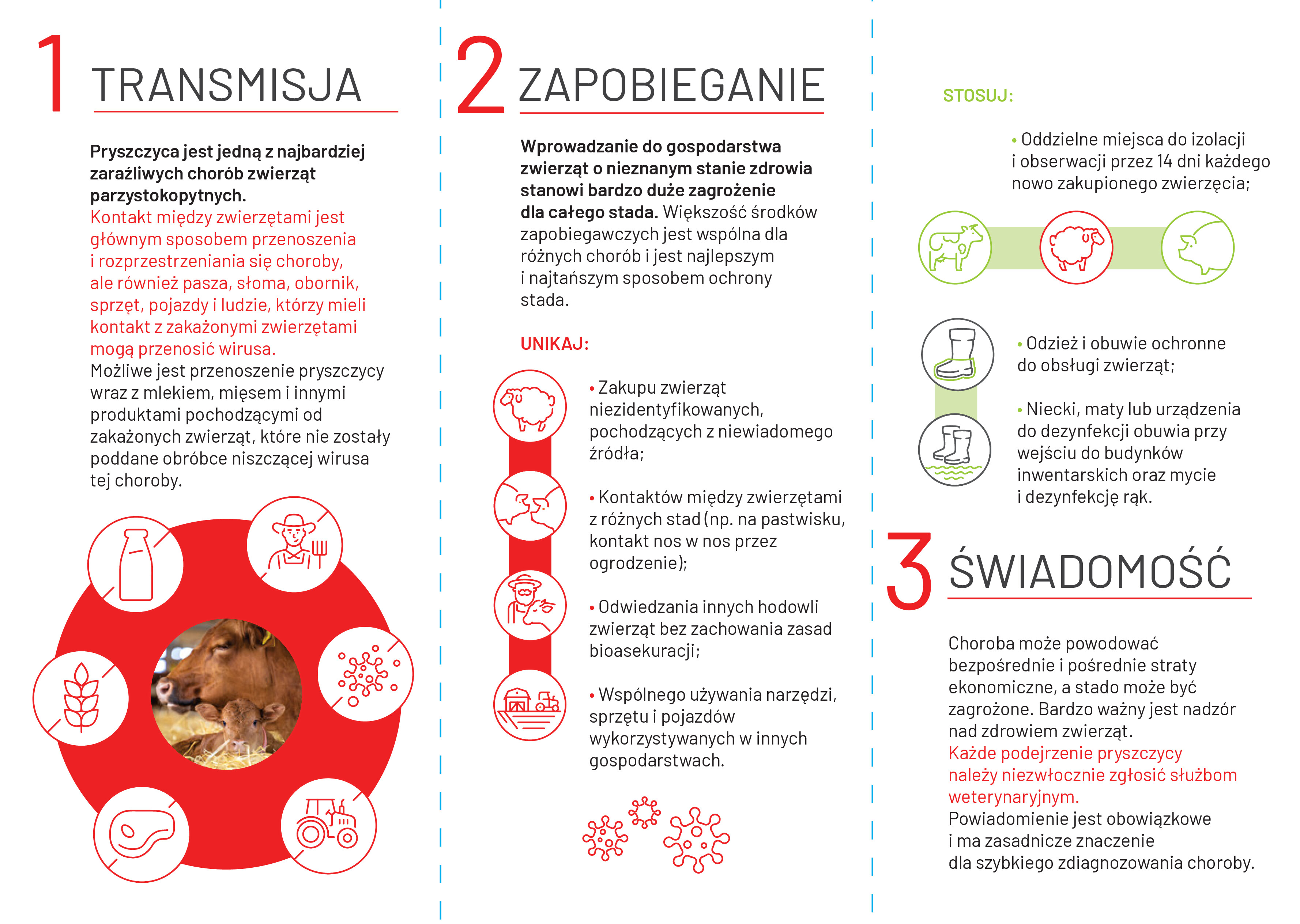 Ulotka pryszczyca1
