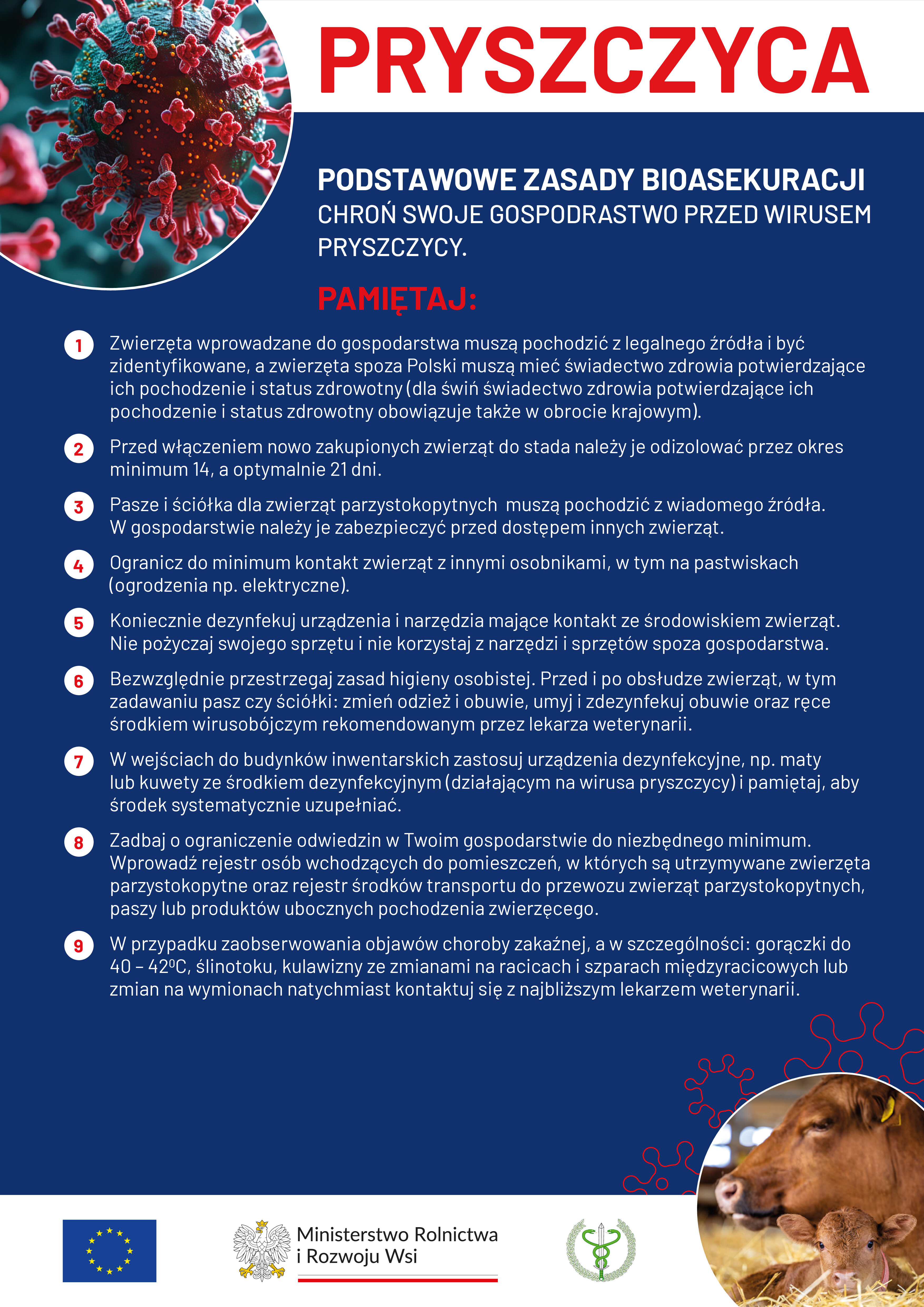 plakat PRYSZCZYCA