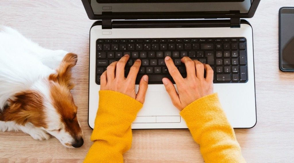 Ruszył nabór wniosków do programu Kulturalny ORLEN