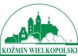 Oferta organizacji pozarządowej w trybie 19 A